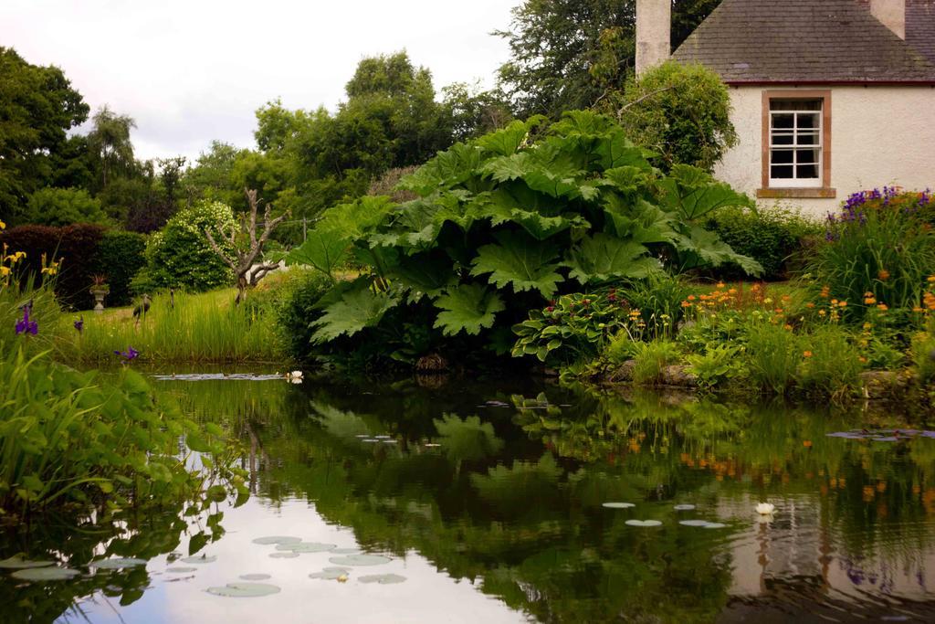 Hotel The Dower House Muir of Ord Pokoj fotografie